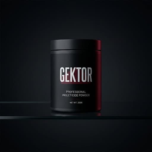 Заглушка: Гектор